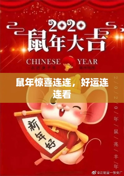 鼠年惊喜连连,好运连连看