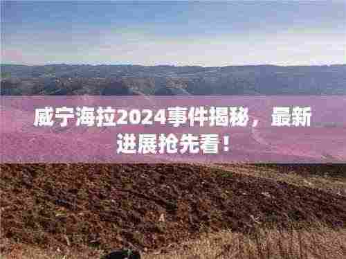 威宁海拉2024事件揭秘,最新进展抢先看!