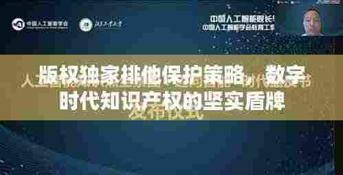 版权独家排他保护策略,数字时代知识产权的坚实盾牌