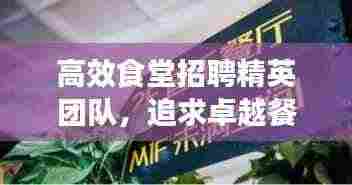 高效食堂招聘精英团队,追求卓越餐饮服务质量,共创美食新篇章