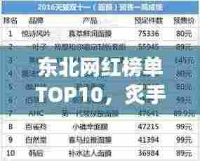东北网红榜单TOP10,炙手可热的网红大咖揭秘!