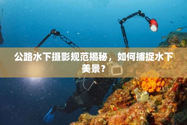 公路水下摄影规范揭秘,如何捕捉水下美景?