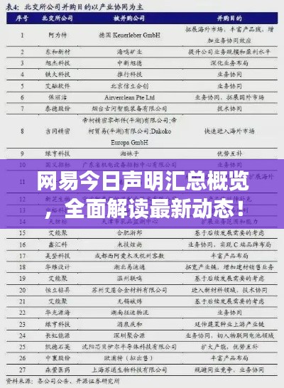 网易今日声明汇总概览,全面解读最新动态!