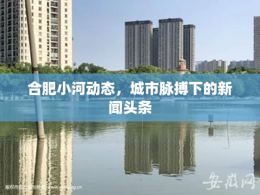 合肥小河动态,城市脉搏下的新闻头条