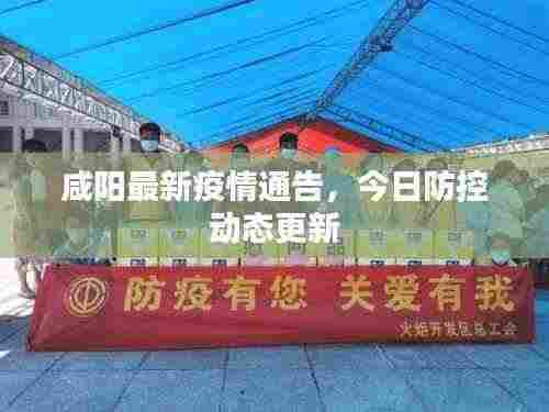 咸阳最新疫情通告,今日防控动态更新