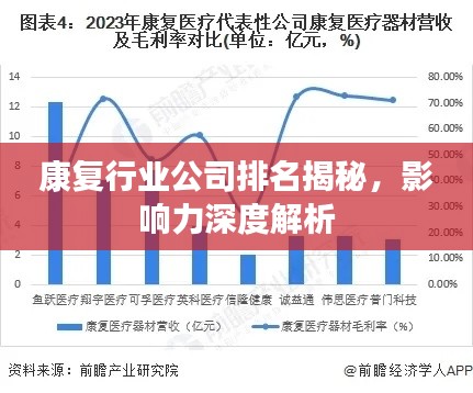 康复行业公司排名揭秘,影响力深度解析