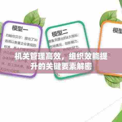 机关管理高效,组织效能提升的关键要素解密