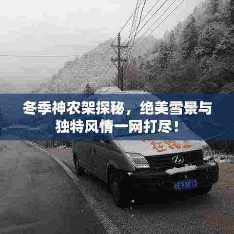 冬季神农架探秘，绝美雪景与独特风情一网打尽！