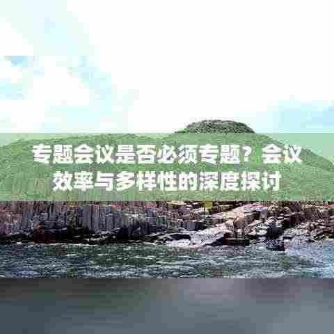 专题会议是否必须专题?会议效率与多样性的深度探讨