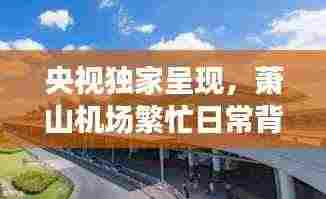 央视独家呈现,萧山机场繁忙日常背后的独特魅力