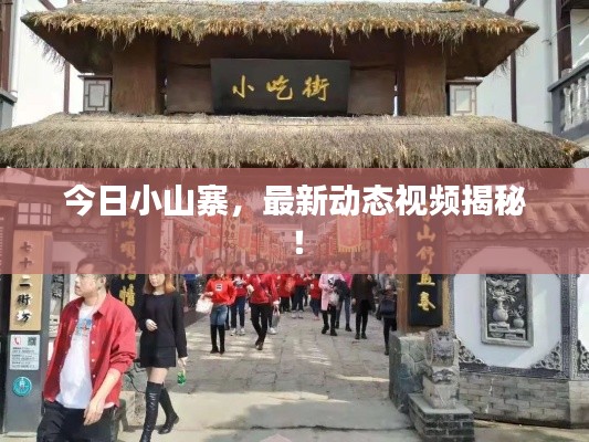 今日小山寨,最新动态视频揭秘!