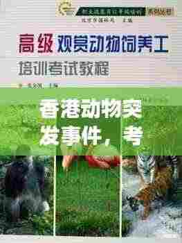 香港动物突发事件,考验与反思的启示