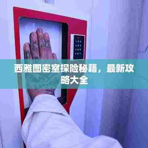 西雅图密室探险秘籍,最新攻略大全