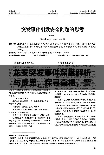龙安突发事件深度解析与反思,探寻真相,警示未来