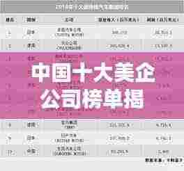 中国十大美企公司榜单揭晓，惊艳你的眼球！