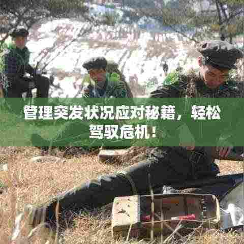 管理突发状况应对秘籍，轻松驾驭危机！