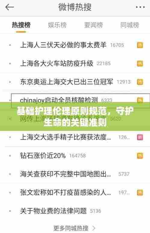 基础护理伦理原则规范,守护生命的关键准则