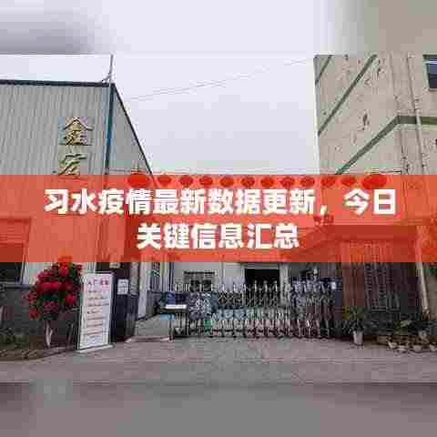 习水疫情最新数据更新,今日关键信息汇总
