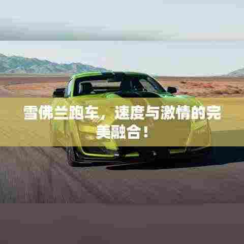 雪佛兰跑车,速度与激情的完美融合!