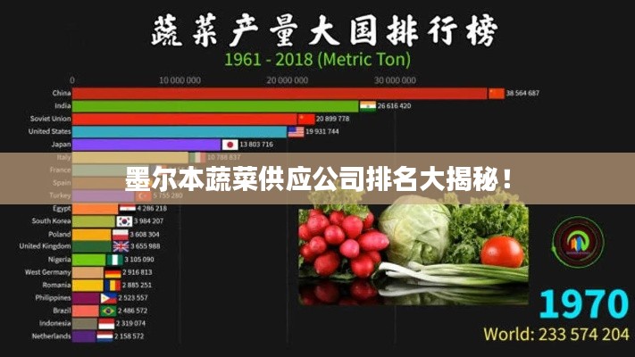 善始善终 第2页