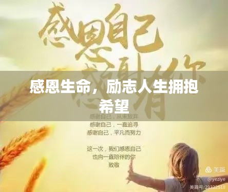 感恩生命,励志人生拥抱希望
