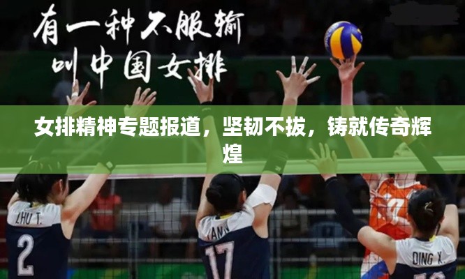 女排精神专题报道,坚韧不拔,铸就传奇辉煌