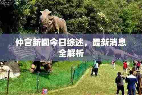 仲宫新闻今日综述,最新消息全解析