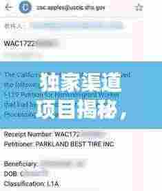 独家渠道项目揭秘，成功要素一网打尽