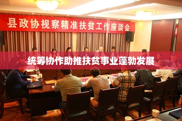 统筹协作助推扶贫事业蓬勃发展