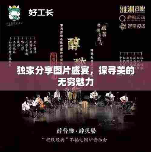 独家分享图片盛宴，探寻美的无穷魅力