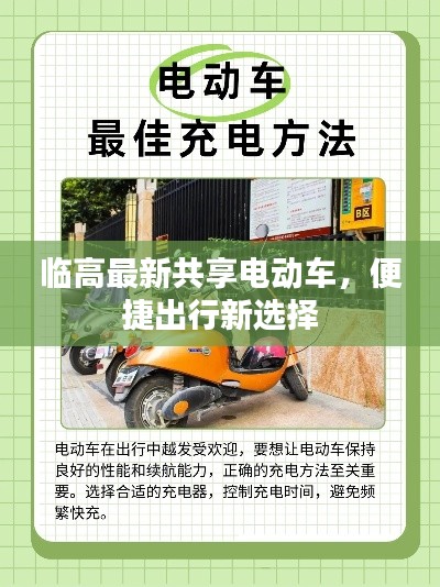 临高最新共享电动车,便捷出行新选择