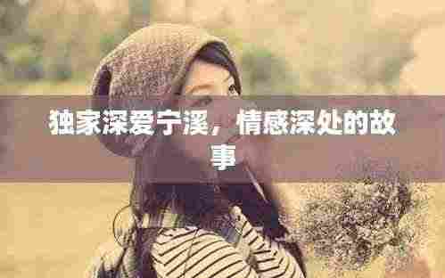 独家深爱宁溪,情感深处的故事