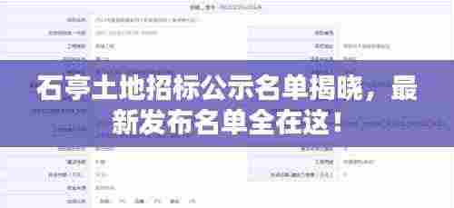 石亭土地招标公示名单揭晓,最新发布名单全在这!