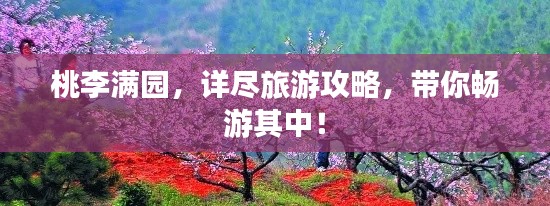桃李满园，详尽旅游攻略，带你畅游其中！