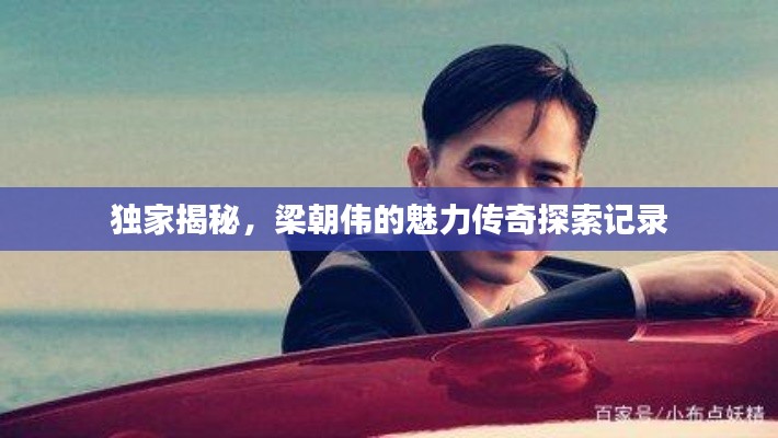 独家揭秘,梁朝伟的魅力传奇探索记录