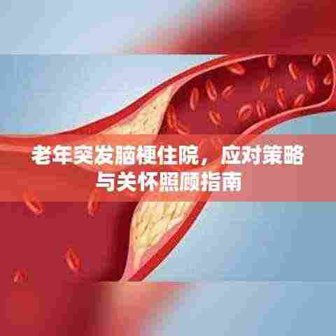 老年突发脑梗住院,应对策略与关怀照顾指南