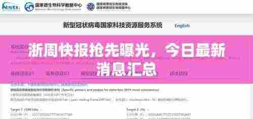 浙周快报抢先曝光,今日最新消息汇总