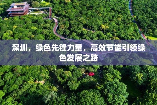 深圳，绿色先锋力量，高效节能引领绿色发展之路