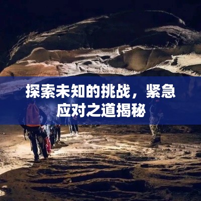 反朴归真 第2页