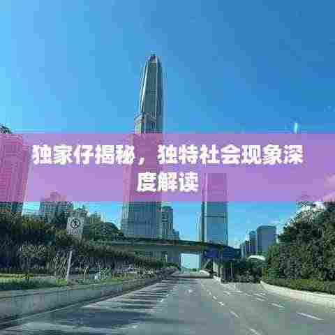 独家仔揭秘,独特社会现象深度解读