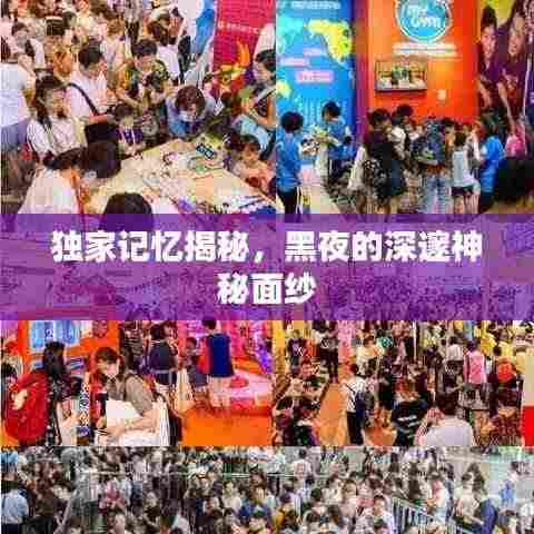 独家记忆揭秘,黑夜的深邃神秘面纱